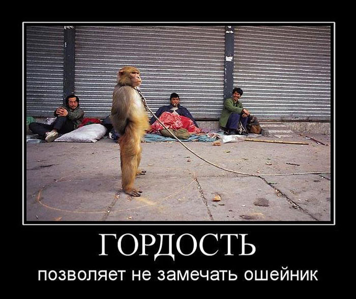 Гордость