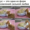 Укус Укус