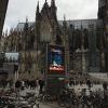 IMG 1165