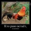 )))