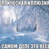 Оптическая иллюзия Оптическая иллюзия