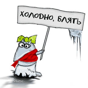 Сегодня на улице