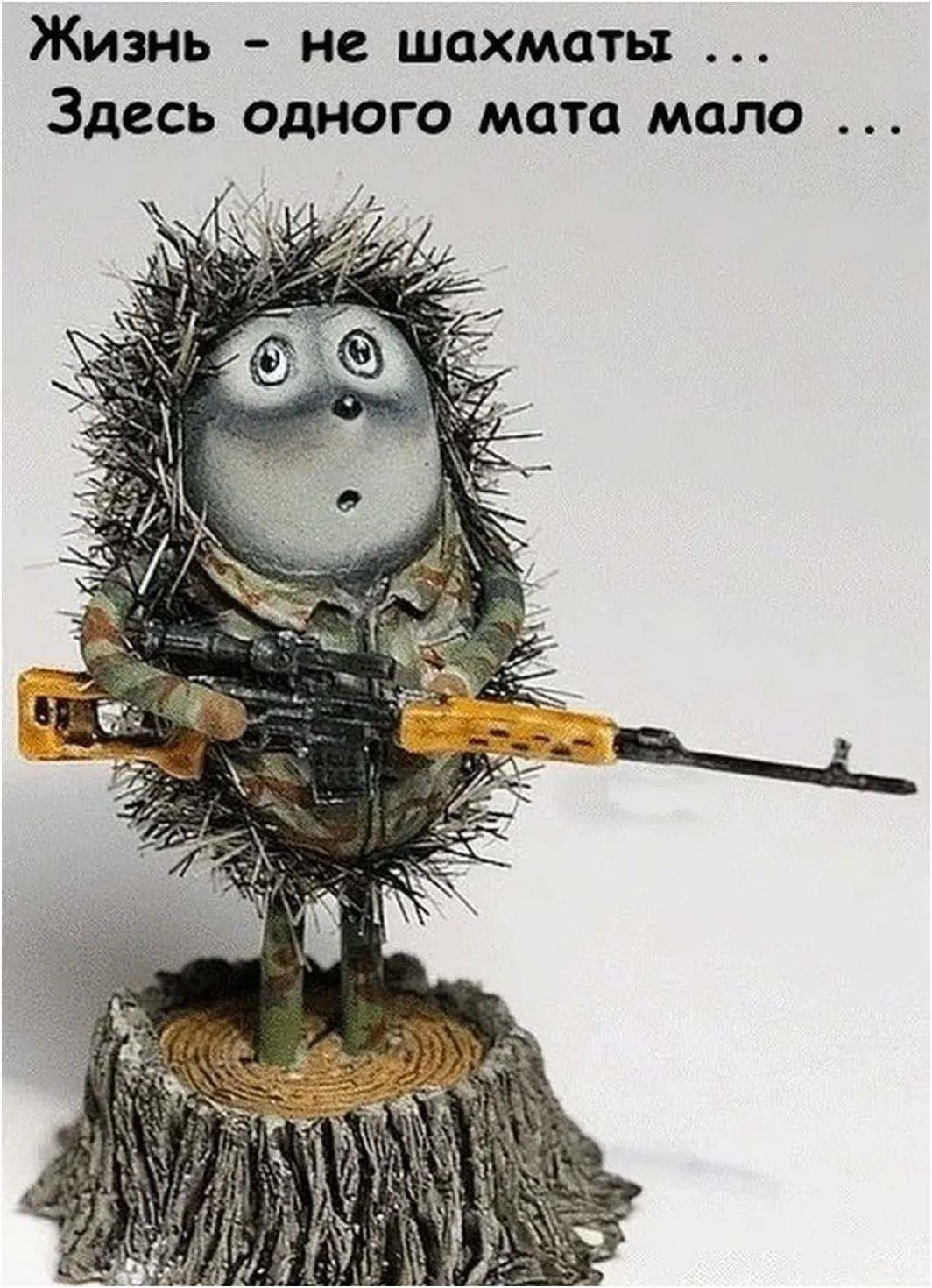 Жизнь-не шахматы