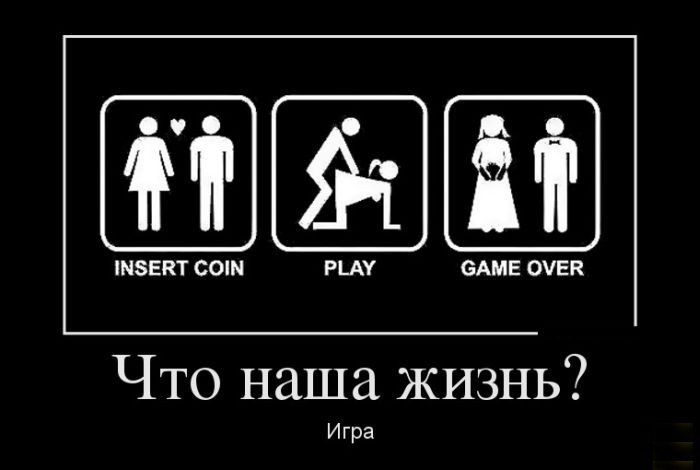 Наша жизнь