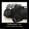 Победитель