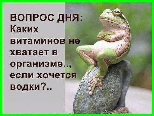 Вопрос дня...