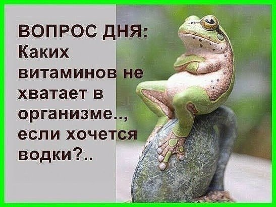 Вопрос дня...