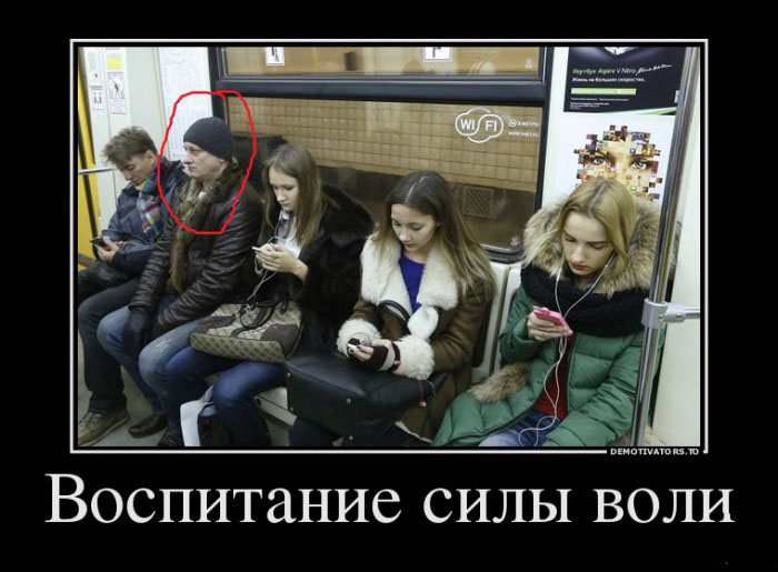 Сила воли