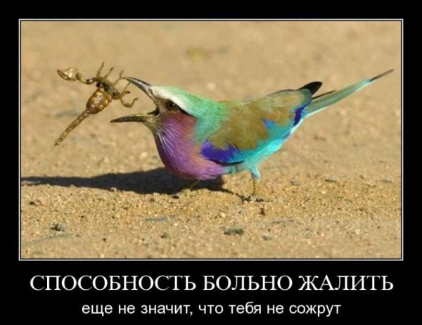 5870770gks