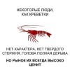 Креветки Креветки