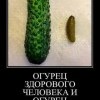 Огурец Огурец