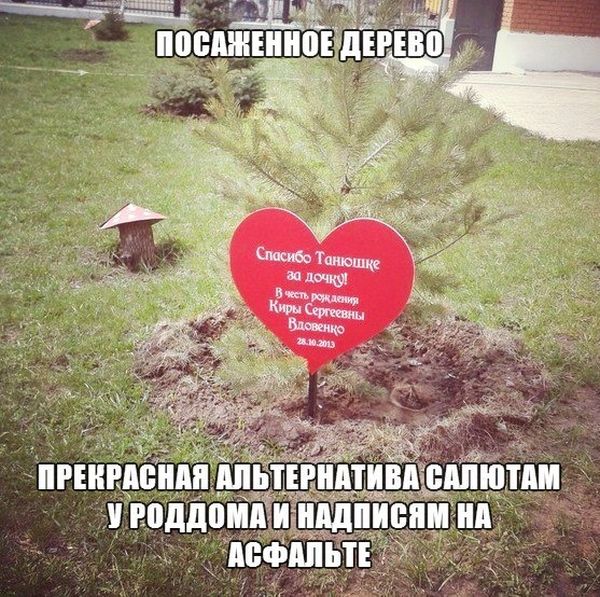 Прекрасная альтернатива