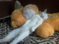 сон час)) сон час))