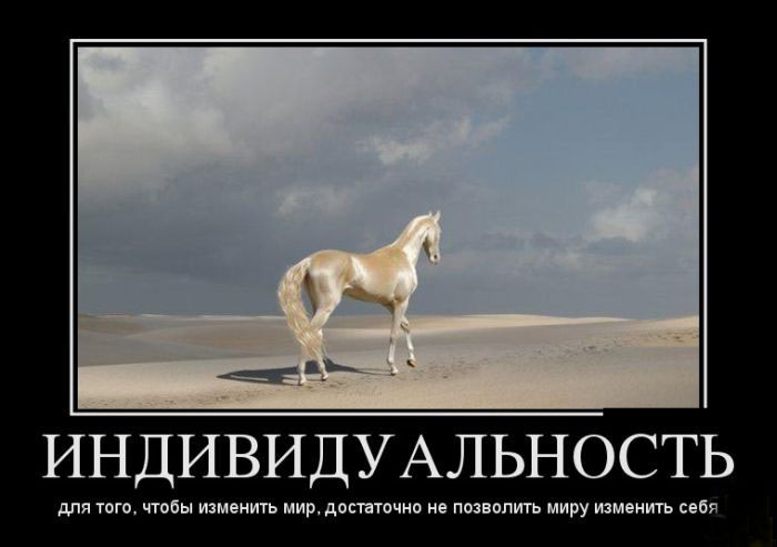 Индивидуальность