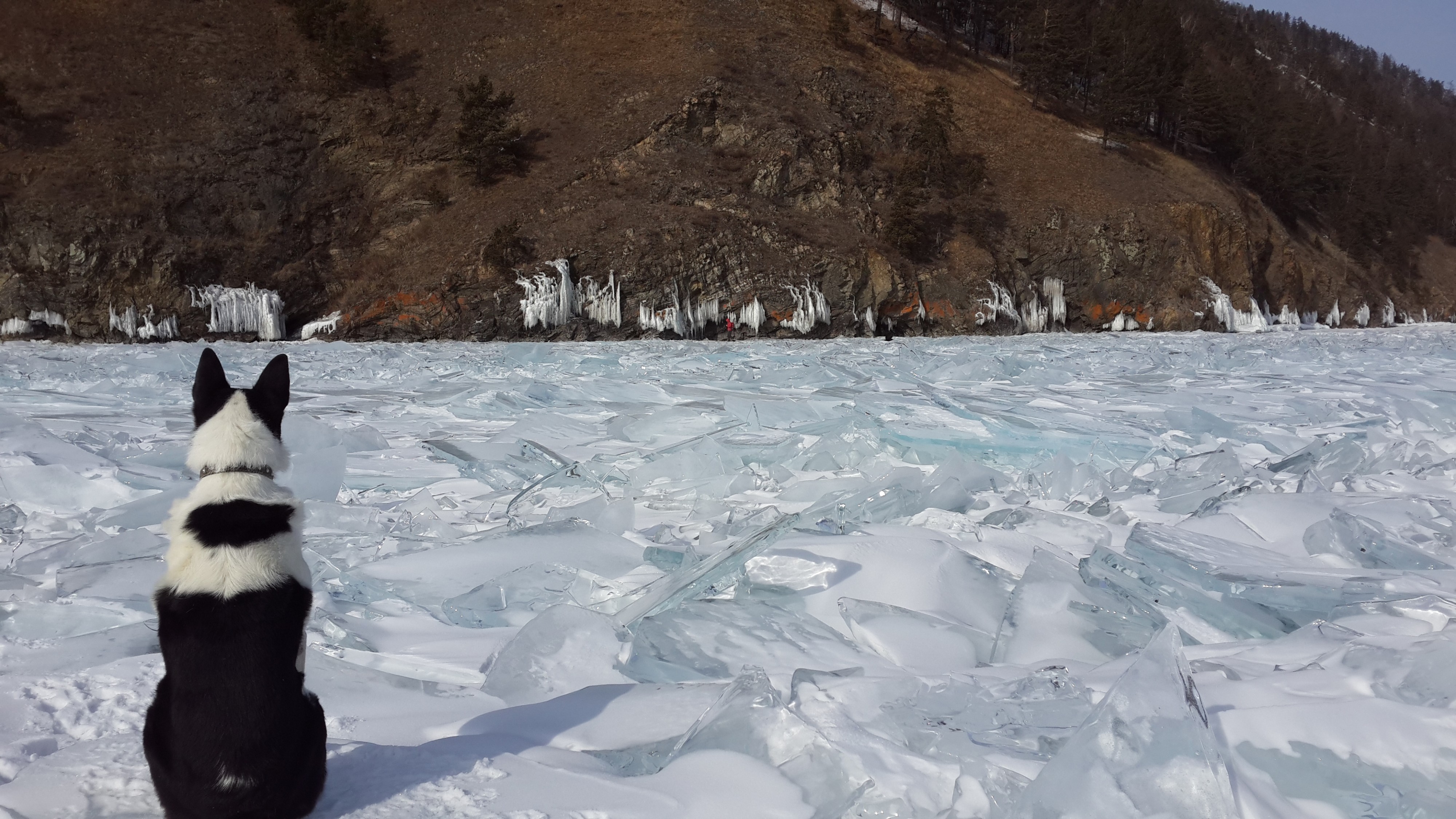 стражник на посту 