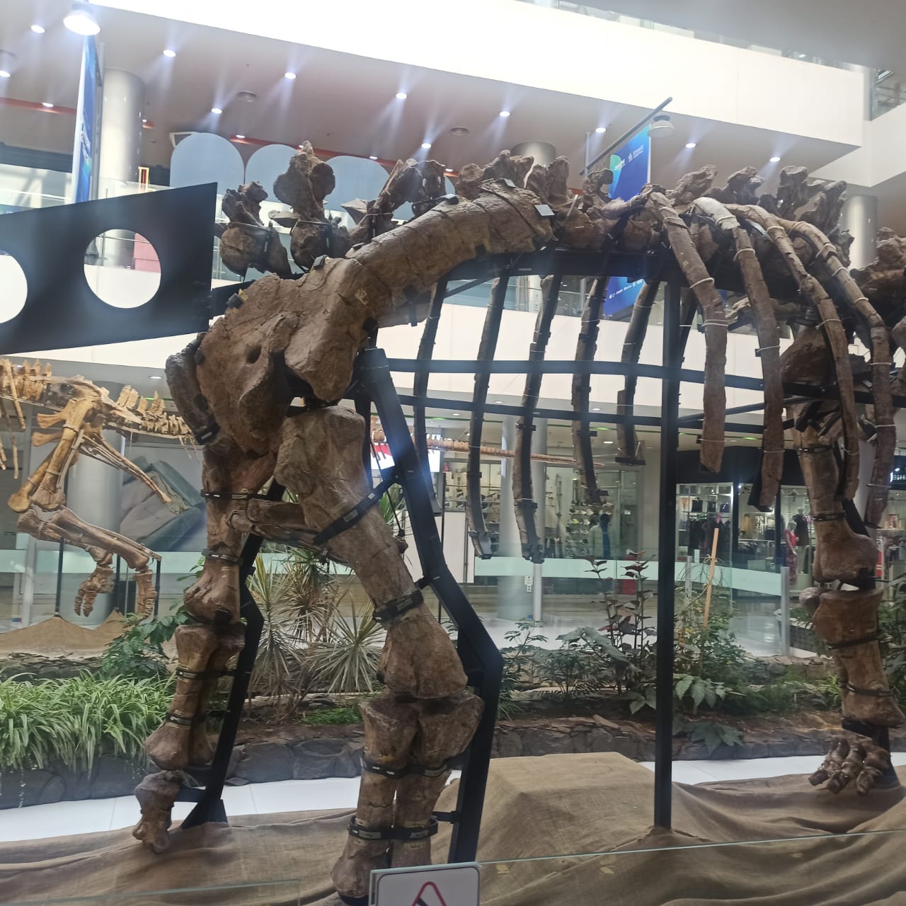 Рёбрышки без гриля)