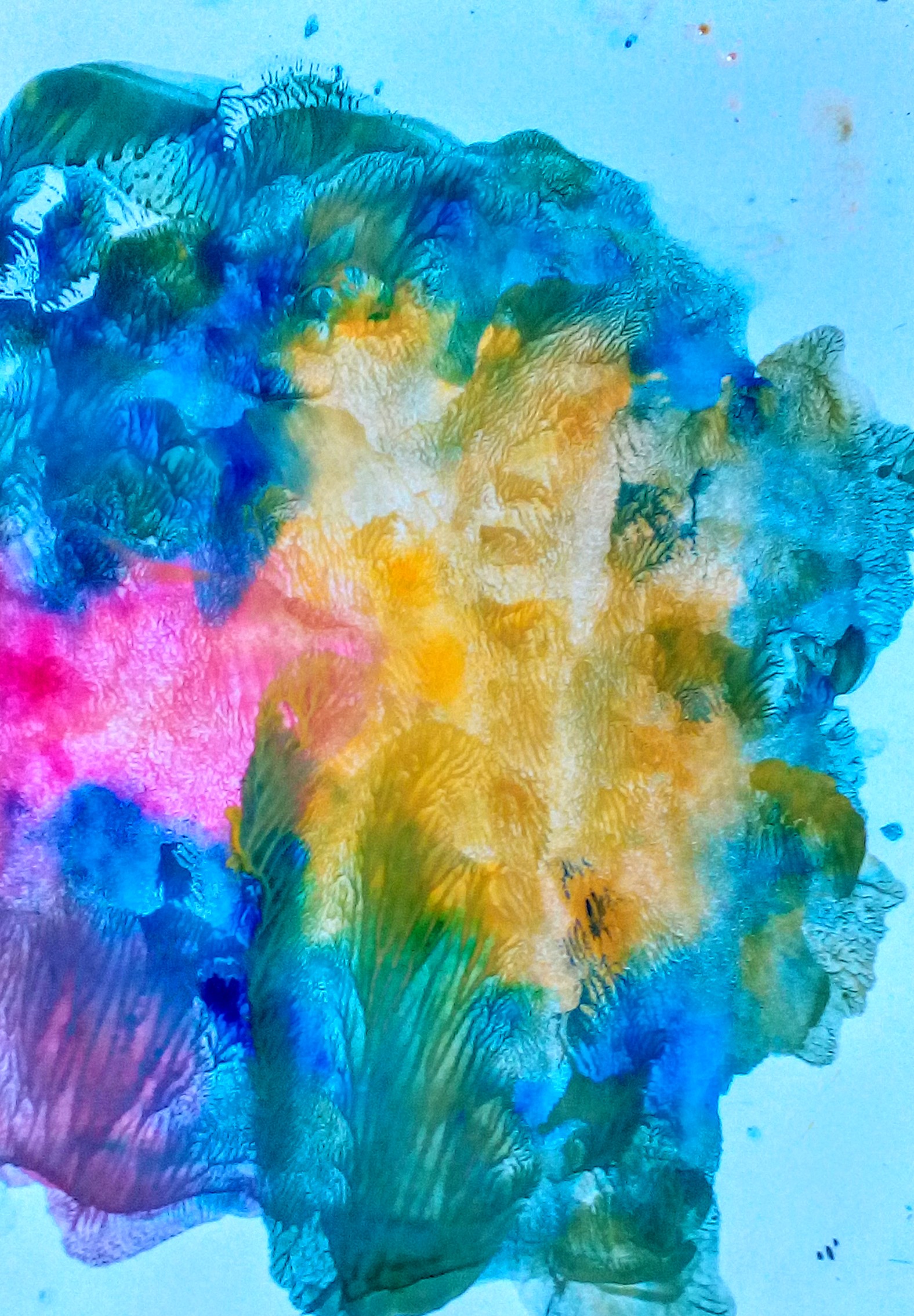 Калашникова Настя