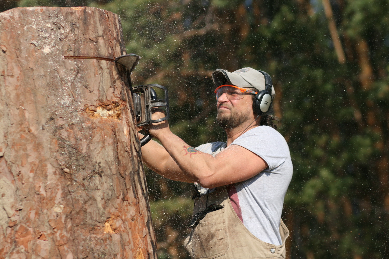 "Лукоморье", 18 мая. Фото Регины Ступурайте