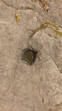 углубление в крышке дольмена углубление в крышке дольмена