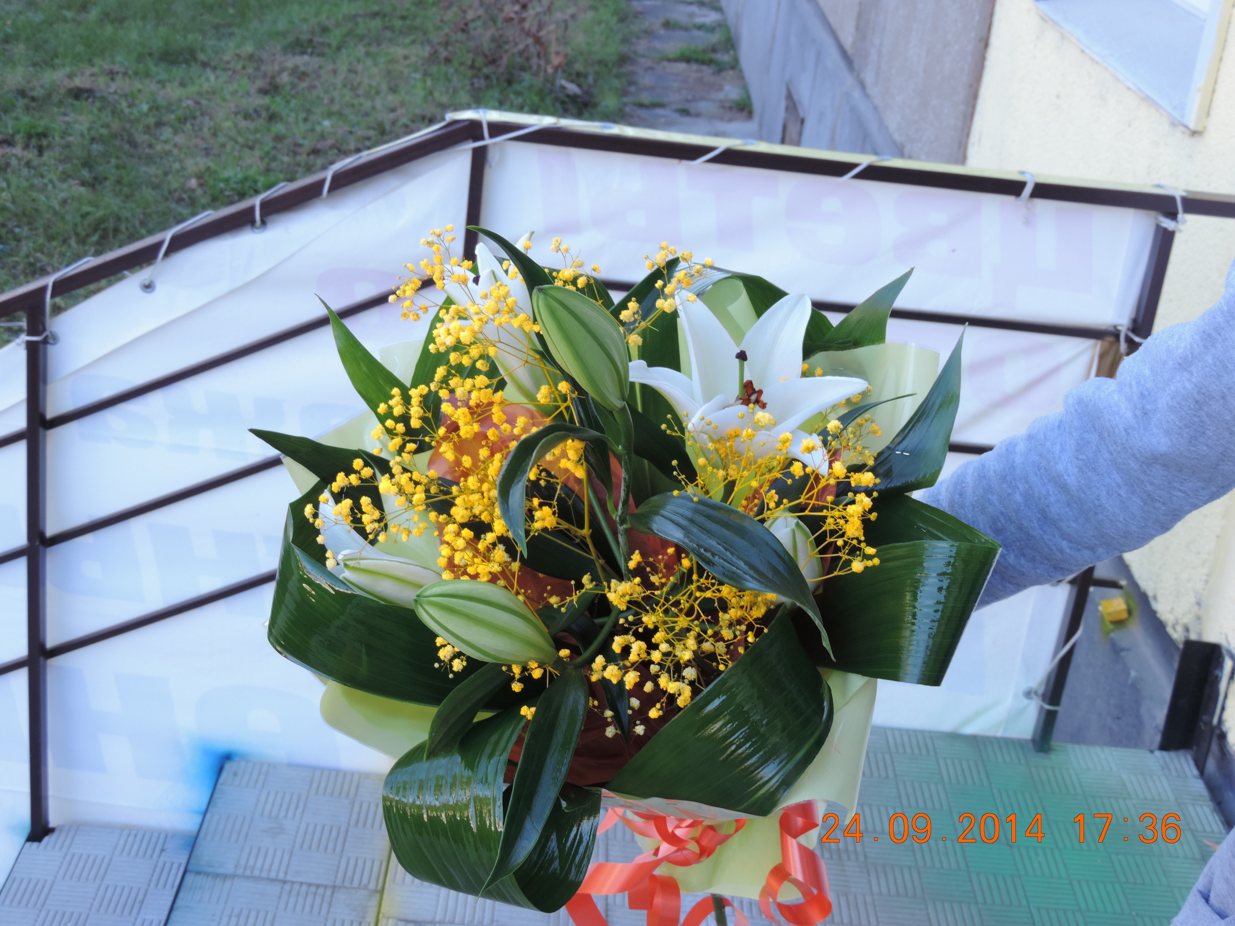 DSCN1066