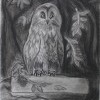 Коркина Виктория. Коркина Виктория.