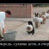 В очередь...
