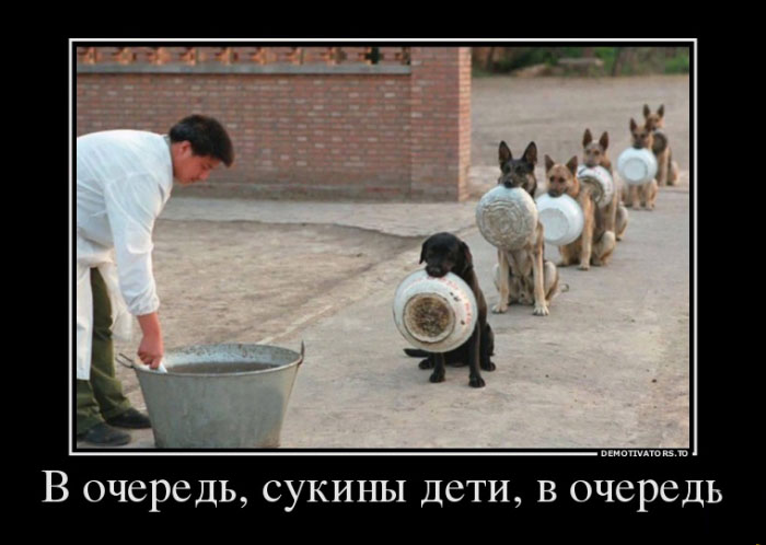 В очередь...