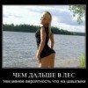 Шашлыки Шашлыки