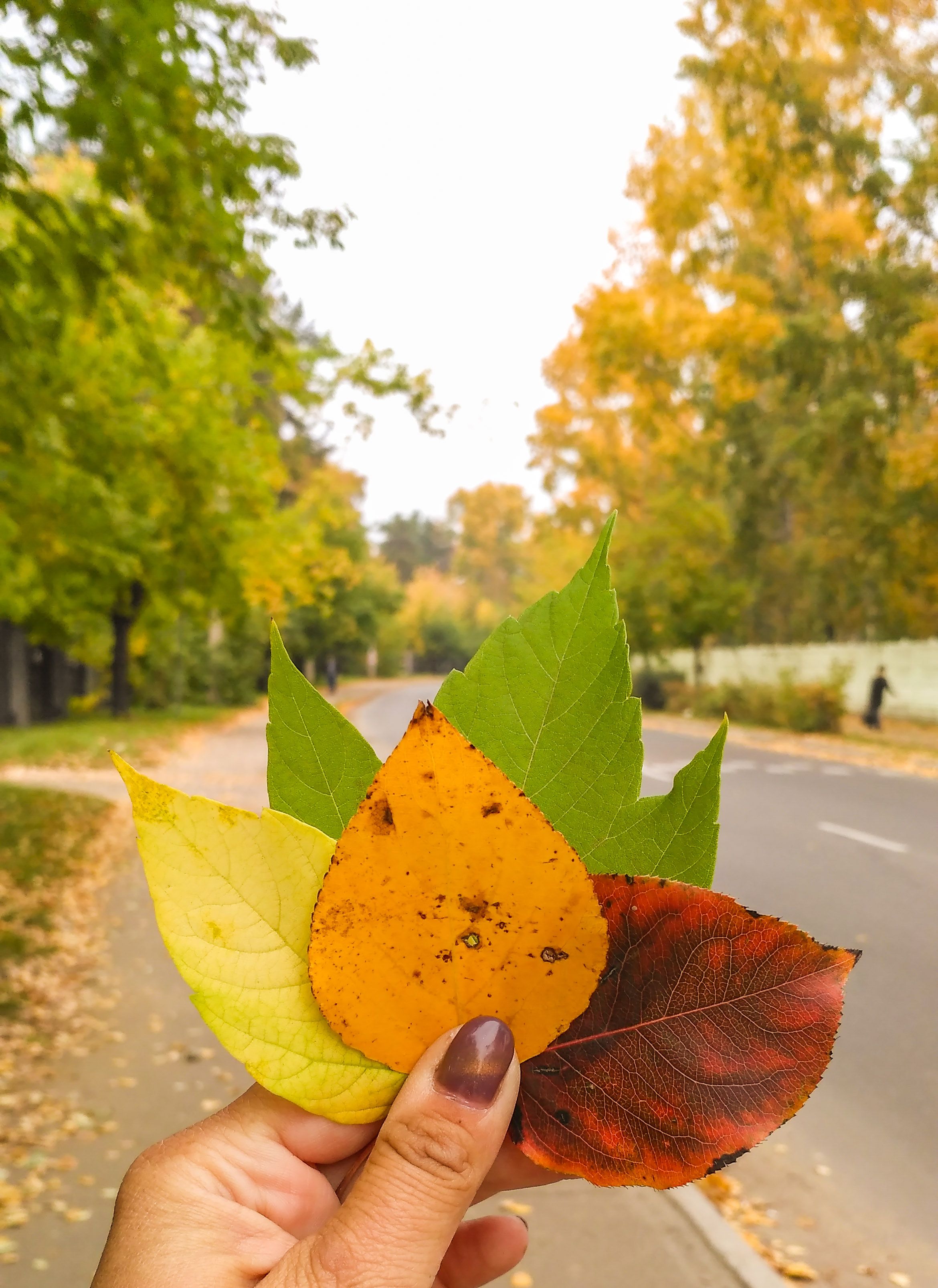 мой день осени