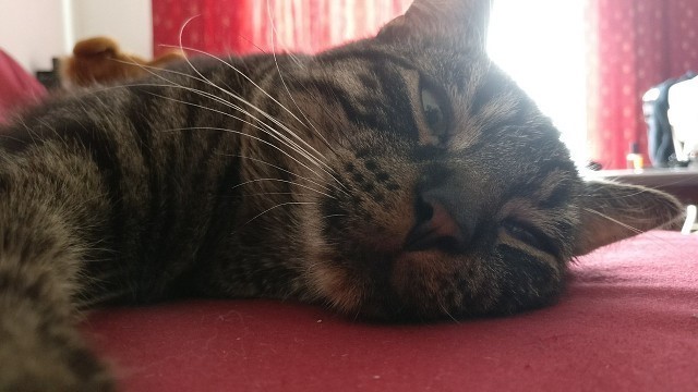 фпереди выдрыхные)))))