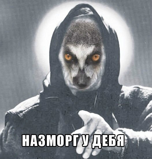 назморг )))))))))