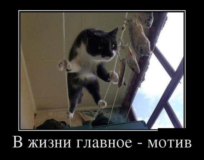Главное-мотив