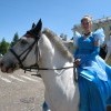 IMG 4073