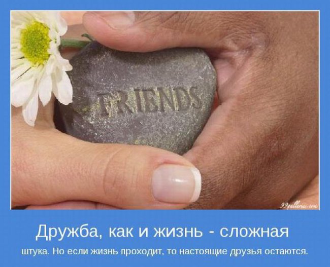 Дружба