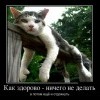 Ничего не делать Ничего не делать