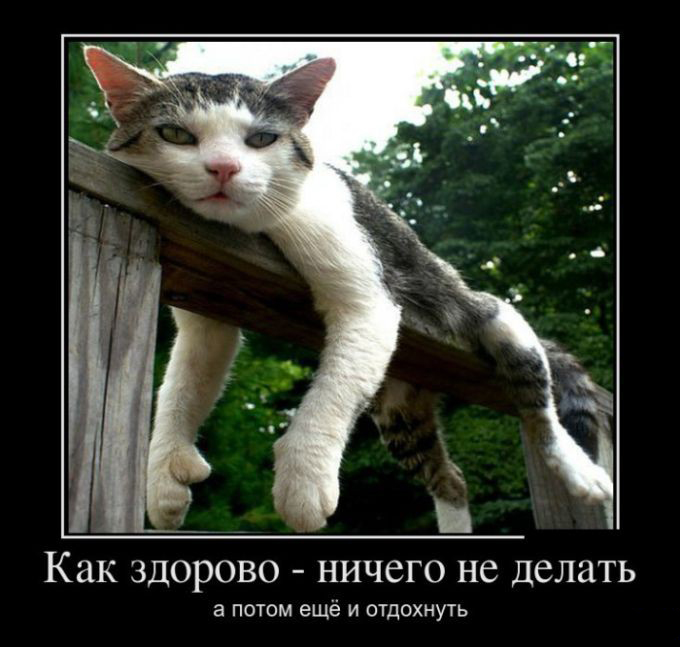 Ничего не делать