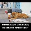 Тяжелые времена