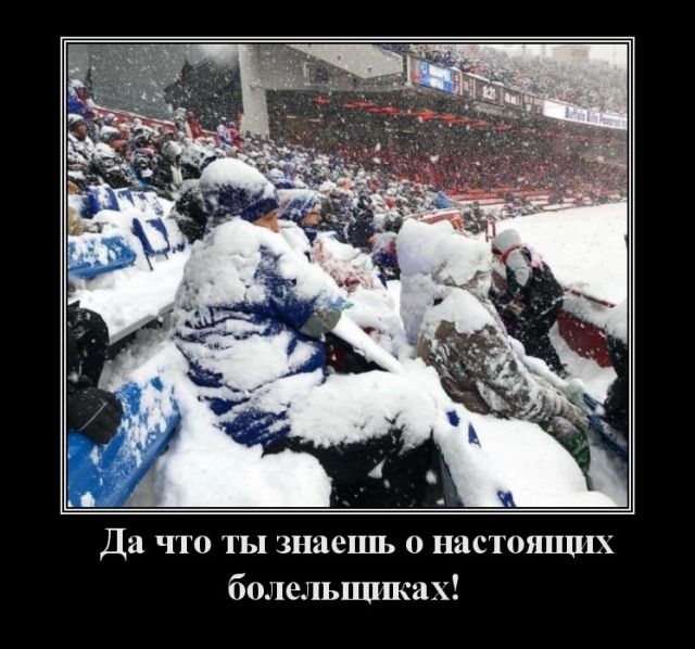 Настоящие болельщики