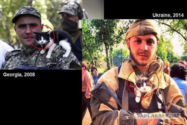 агент на задании