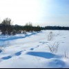 Еловка наконец-то замерзла)))))