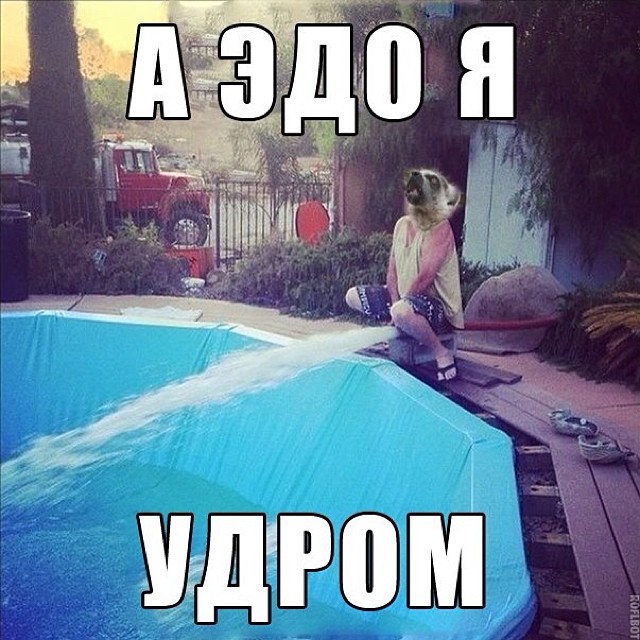 эдо я удром))))