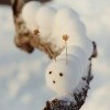 Гусеничный снеговик