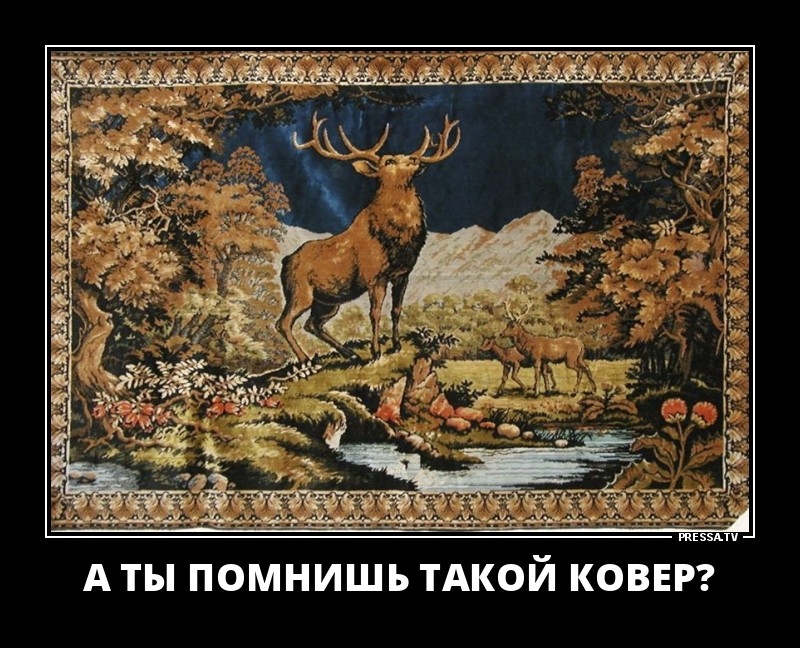 Ковер