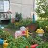 Креатиффчик.