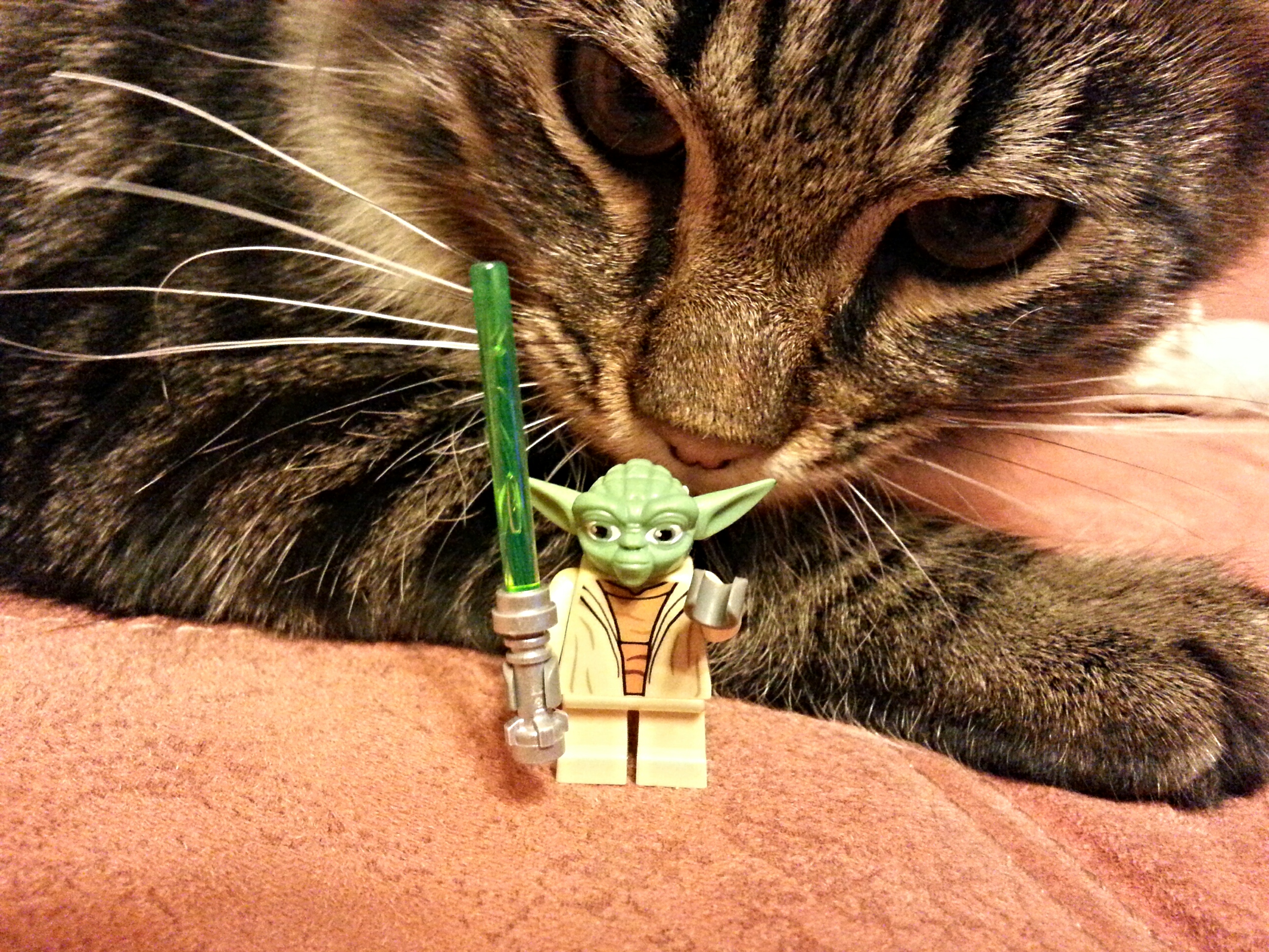 магистр Йода и маленький подаван ))))))