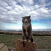 Философски наблюдает