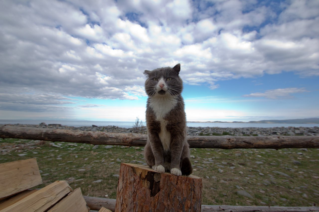 Философски наблюдает