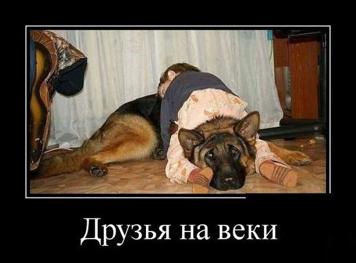 Друзья