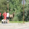 IMG 0914