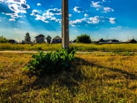 Хреновая фотография